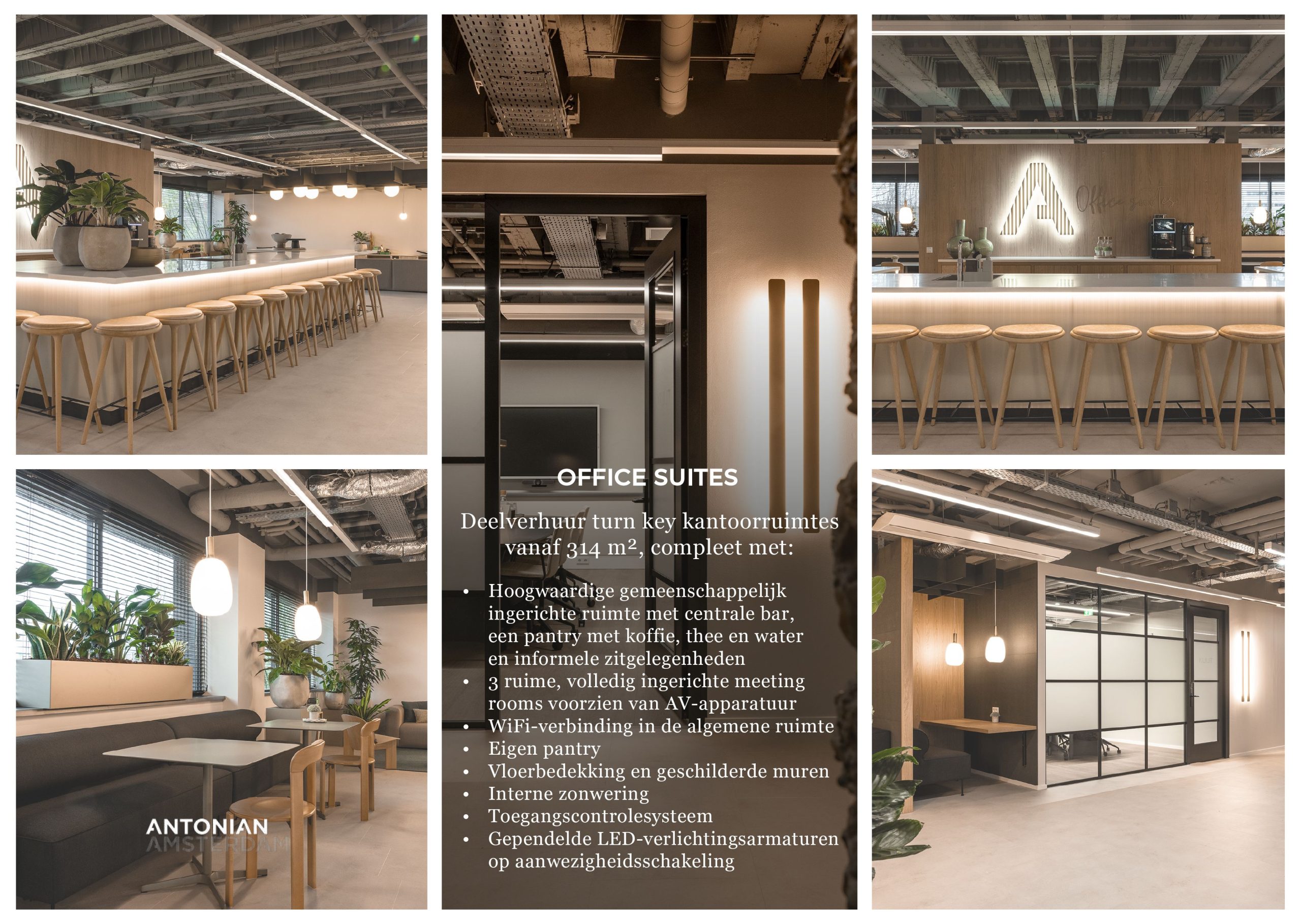 Antonian Office Suites